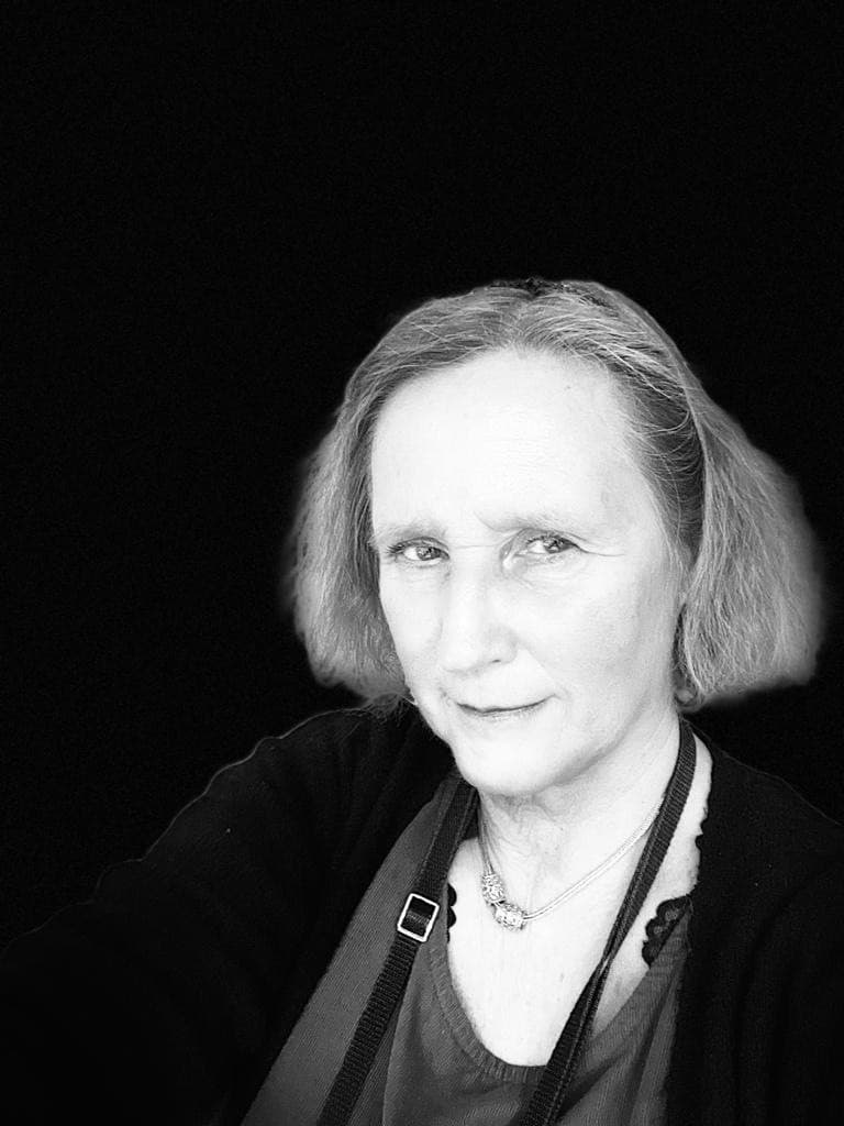 Liisa Luostarinen — Pihlajalinna