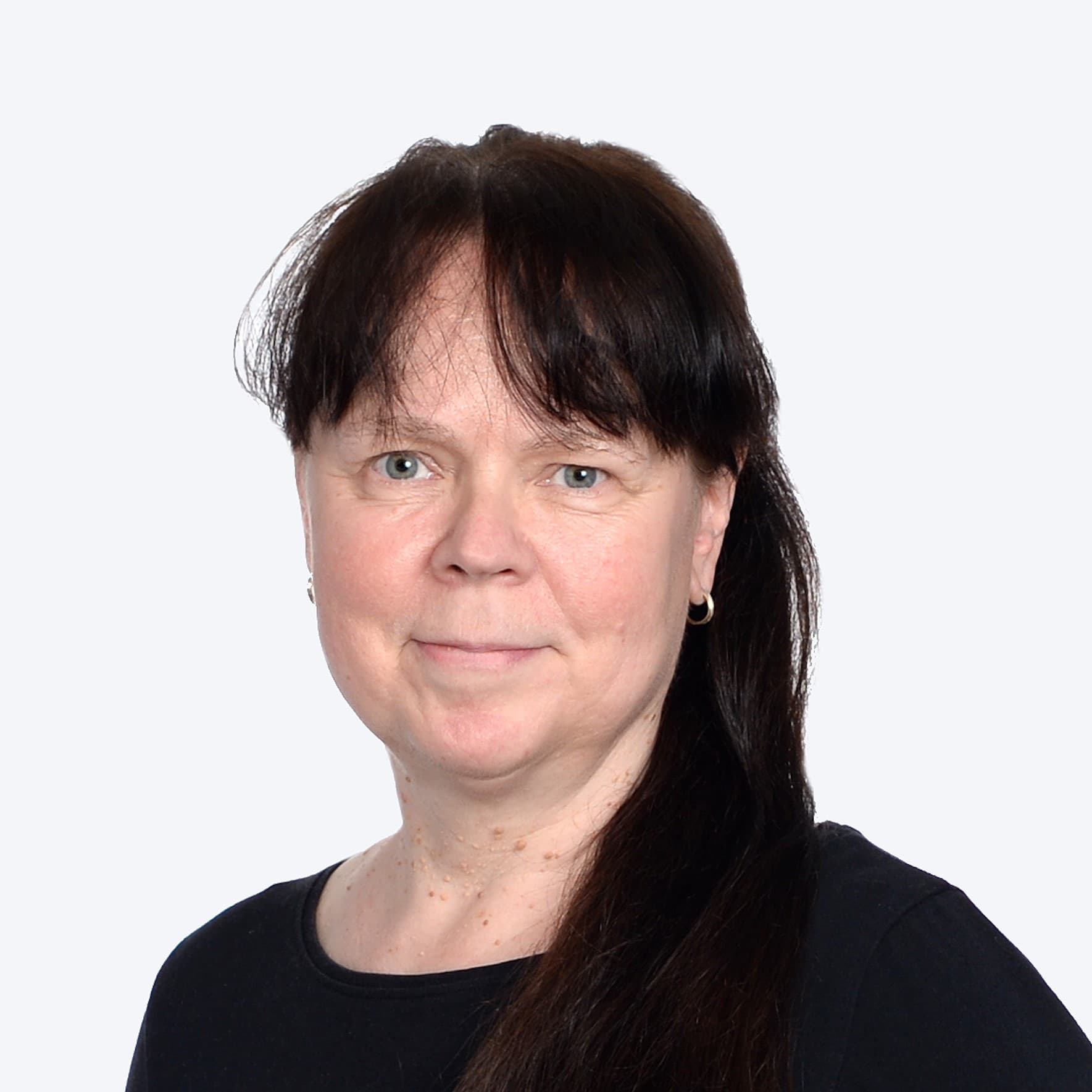 Virpi Pulliainen — Pihlajalinna