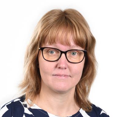 Sini Vilkki — Pihlajalinna