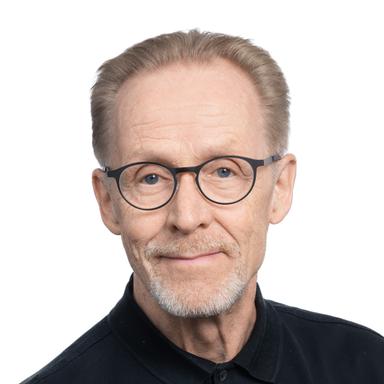 Seppo Honkonen — Pihlajalinna