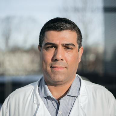 Hazhar Qadir — Pihlajalinna