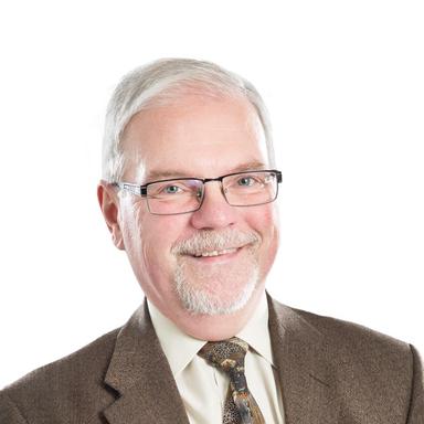 Hannu Koponen, Professori — Pihlajalinna